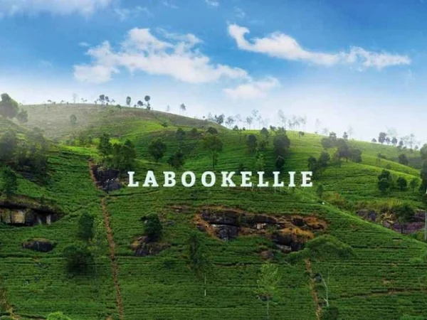 Labookellie