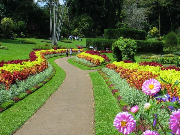 peradenita-botanical-garden