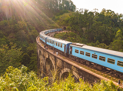 ella-train
