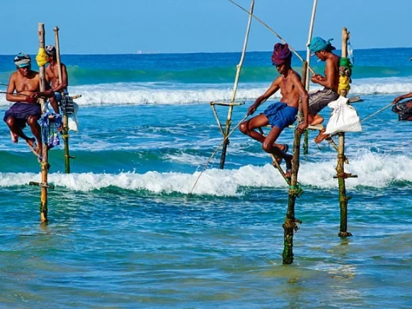 Fisherman