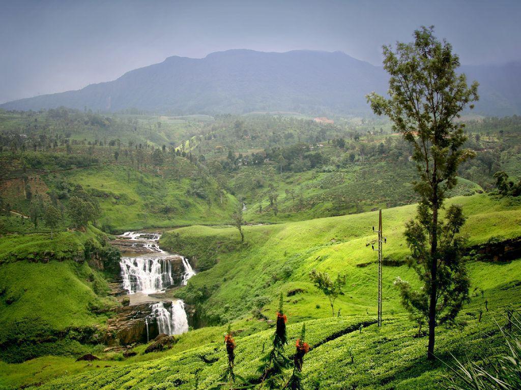 Scenic Beauty