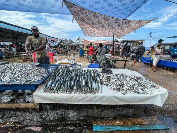 fish-market