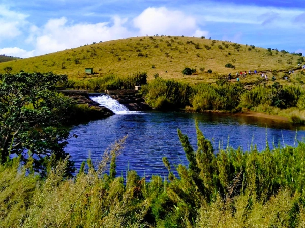 horton-plains