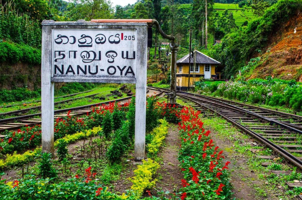Train-trip